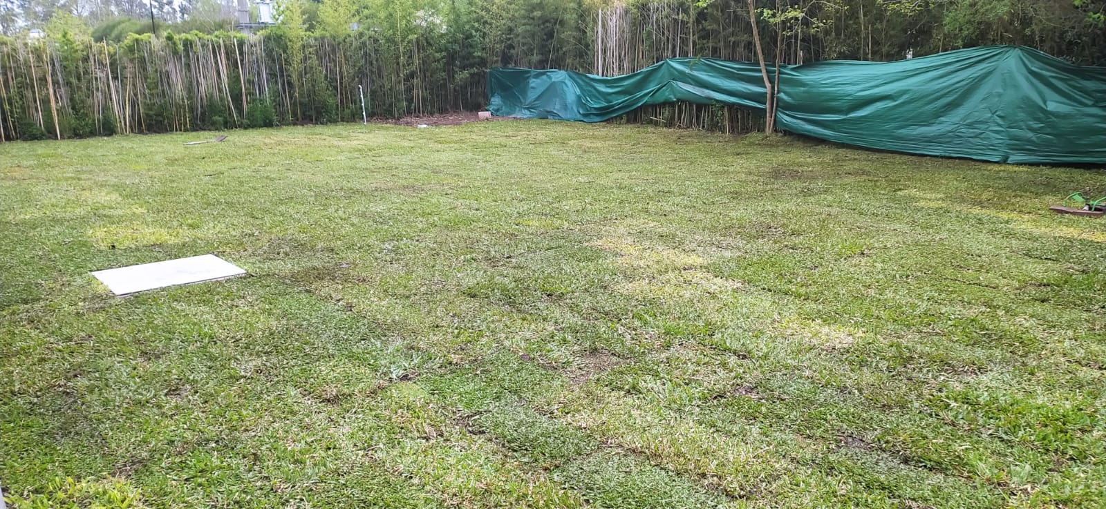 Colocación y Venta de Grama