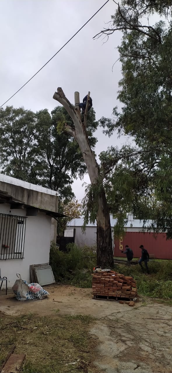 Proyecto 3 - Principal